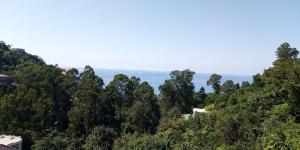 Φυσικό τοπίο κοντά σε αυτό το ξενοδοχείο