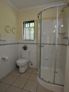 a bathroom with a toilet and a glass shower at Petal Faire Cottage in Pretoria