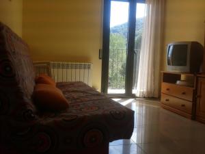 1 dormitorio con sofá, TV y ventana en Apartamentos Fonda Finet en Sant Felíu de Pallarols