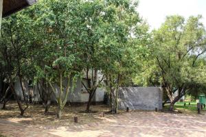 Galería fotográfica de Umuzi Lodge en Secunda