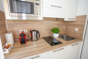 een aanrecht met een spoelbak en een magnetron bij Splendide studio Design frontiere Monaco in Beausoleil +5 foto's