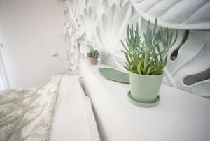 een witte tafel met een potplant erop bij Splendide studio Design frontiere Monaco in Beausoleil