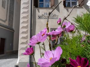 Palazzo Mysanus Samedan外面的花园