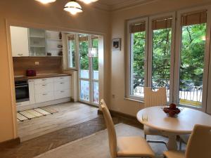 Η κουζίνα ή μικρή κουζίνα στο ViITOSHKA Apartment