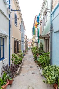 an alley between two buildings with potted plants at Typical Quarter Nest in Porto