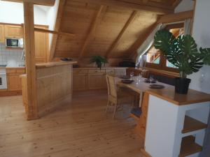 Kuchyňa alebo kuchynka v ubytovaní Appartements Planai by Schladmingurlaub