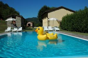 a yellow rubber duck in the middle of a swimming pool at Agriturismo Popolano Di Sotto in Marradi