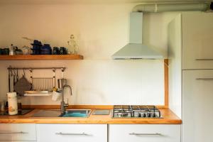 A kitchen or kitchenette at Baita Carnale, Montagna in Valtellina