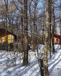 CHALET ETNA MILO during the winter
