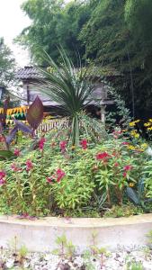 Giardino di Guesthouse Luka