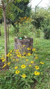 Giardino di Guesthouse Luka