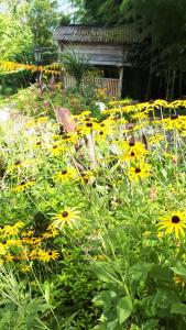 Giardino di Guesthouse Luka