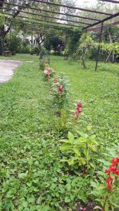 Giardino di Guesthouse Luka