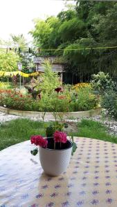 Giardino di Guesthouse Luka