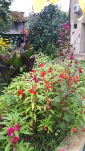 Giardino di Guesthouse Luka