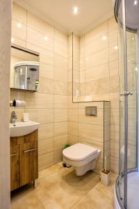 a bathroom with a toilet and a sink and a shower at Apartament Diana in Karpacz