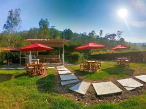 Zahrada ubytování FINCA EL RECUERDO