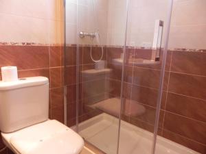 リャネスにあるHospederia Los Pinosのバスルーム(シャワー、トイレ、洗面台付)