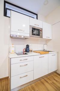 Kuchyň nebo kuchyňský kout v ubytování A&S APARTAMENTOS MALAGA I