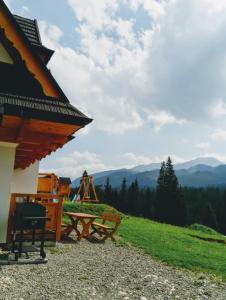 a picnic table and a playground on a hill at Cichy Domek in Małe Ciche