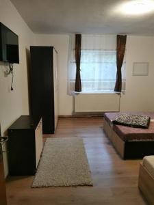a living room with two beds and a window at Pensiunea Alex & Andry in Cordun
