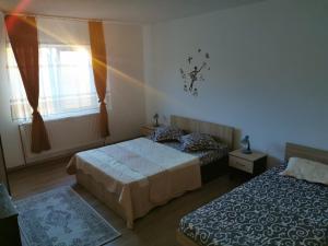 a bedroom with two beds and a window at Pensiunea Alex & Andry in Cordun