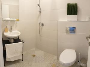 Koupelna v ubytování Albi Boutique Apartments + 27 fotografií