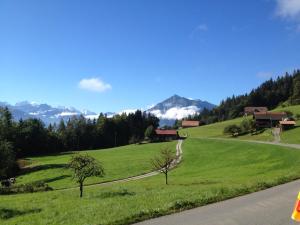 a green field with a road and mountains in the background at Hotel Rothorn in Schwanden