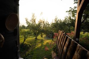 A garden outside Weingarten Lodge