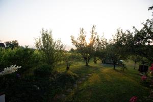 A garden outside Weingarten Lodge