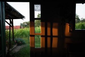 A garden outside Weingarten Lodge
