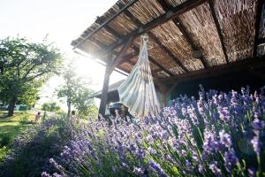 A garden outside Weingarten Lodge