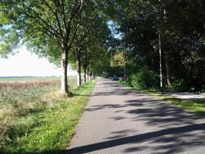 een weg met bomen aan de zijkant van een veld bij B&B Meerland in Oostwold