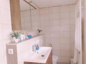 Baño blanco con lavabo y espejo en Ferienhaus Pearl en Ueckeritz