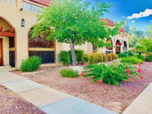 una casa con un árbol en el patio delantero en Casas Adobes condo, en Tucson