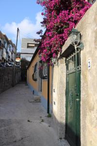 ポルトにあるGreat & Cosy Foz Velhaの緑の扉の上にピンクの花が咲く建物