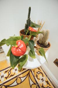 Fotografie z fotogalerie ubytování City Dacha v destinaci Sliema