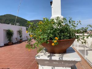Nespecifikovaný výhled na hory nebo výhled na hory při pohledu z bed and breakfast