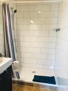 een badkamer met een douche en een blauw tapijt bij Het Achterhuis - Buitenplaats Ruitenveen, privé! in Nieuwleusen