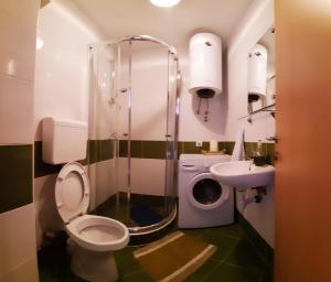 a bathroom with a shower and a toilet and a sink at Apartment The Royal Square in Cetinje +18 photos