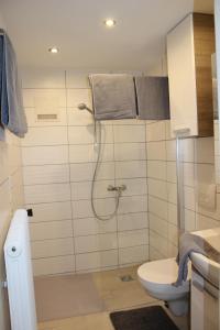 ein Bad mit einer Dusche und einem WC in der Unterkunft Bauernhof Schink in Zell am Moos