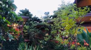a garden in front of a house with plants at 88 Homestay in Bang Chak