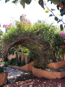 A garden outside Casa MìMì