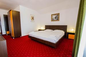 a bedroom with a large bed and red carpet at Complex Turistic Max International in Râşnov