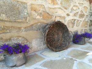 Fotografie z fotogalerie ubytování Радкината къща v destinaci Koprivštica