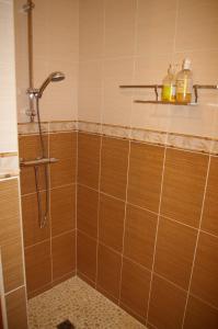 y baño con ducha de azulejos marrones. en La Cognée en Cugnaux