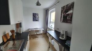 eine Küche mit einer Spüle und einer Arbeitsplatte in der Unterkunft Ferienwohnung klein Treben in Fockendorf