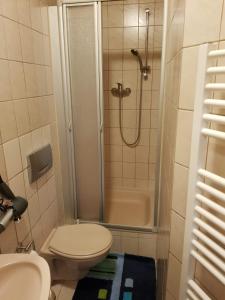 a bathroom with a shower and a toilet and a sink at Apartments bei Marienplatz in Stuttgart