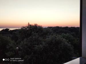 an image of a sunset over a forest of trees at Apartment Feliks in Mandre