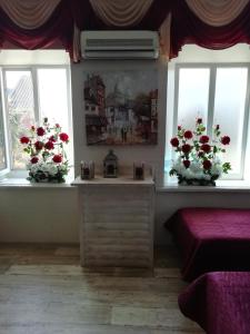 two windows with red flowers in them in a room at Guest House Comfort in Kherson